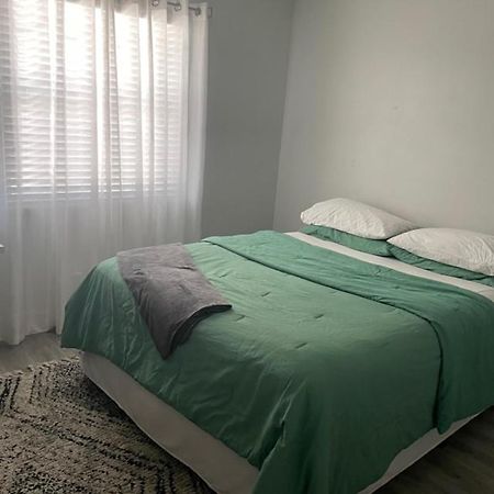 Modern Townhome Тампа Экстерьер фото